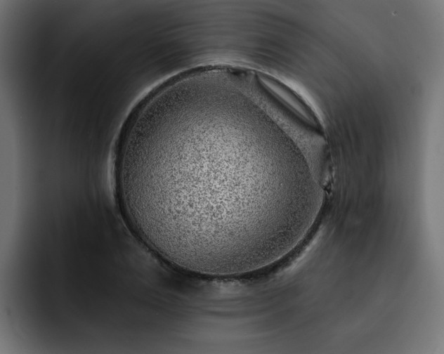 X0000093110983200710031313