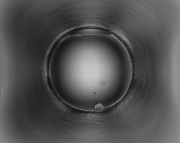 X0000093110984200710031313