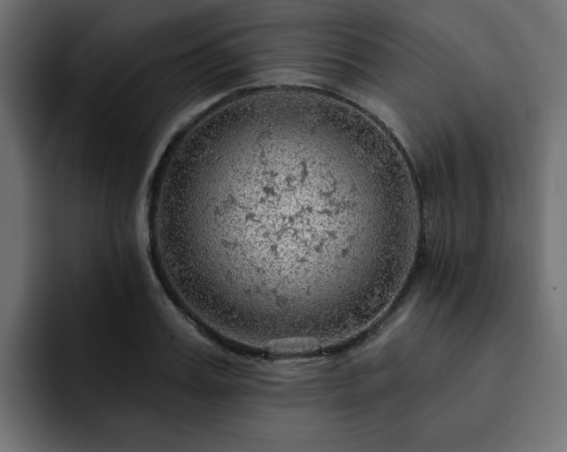 X0000093110987200710031313