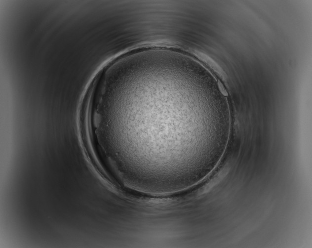X0000093110989200710031313