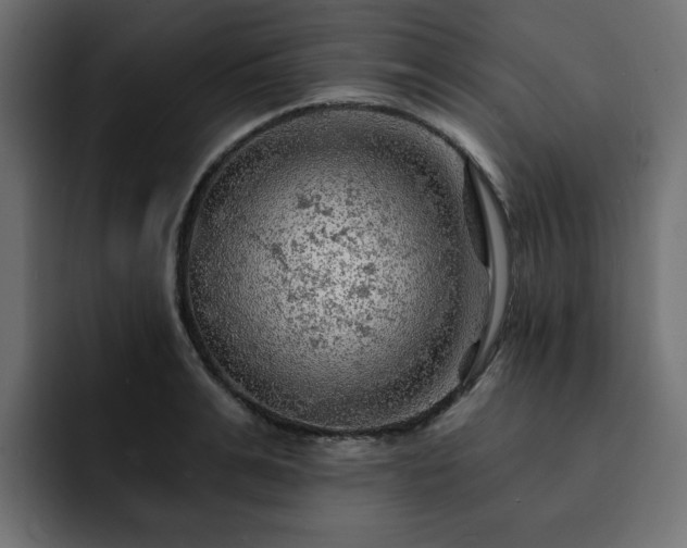 X0000093110991200710031313