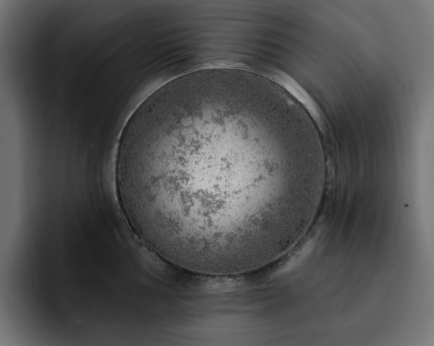 X0000093111002200710031313