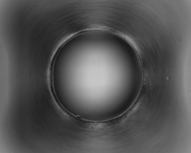 X0000093111003200710031313