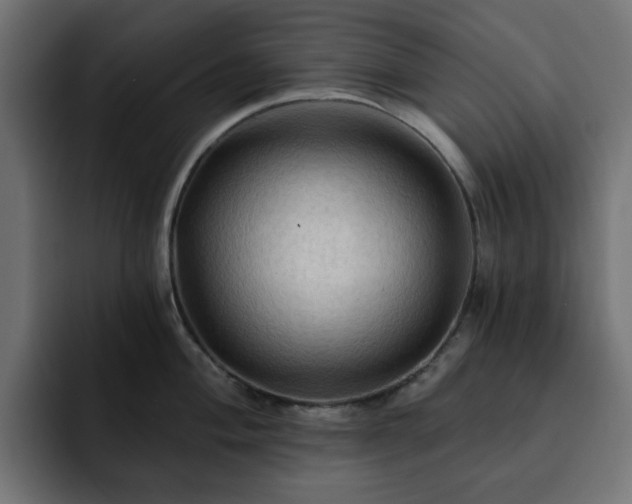 X0000093111004200710031312