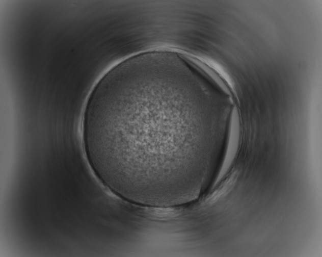 X0000093111007200710031312