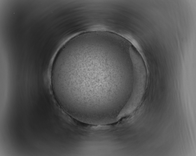 X0000093111008200710031312