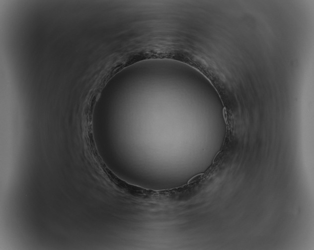 X0000093111009200710031312