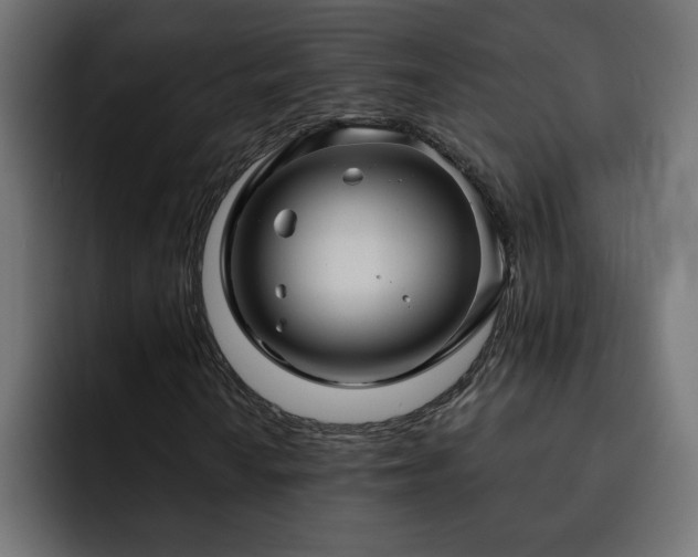 X0000093111010200710031312