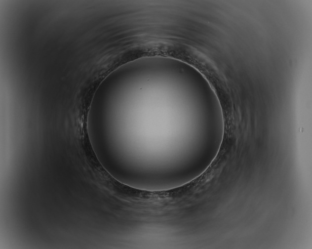 X0000093111013200710031312