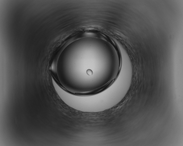 X0000093111014200710031312