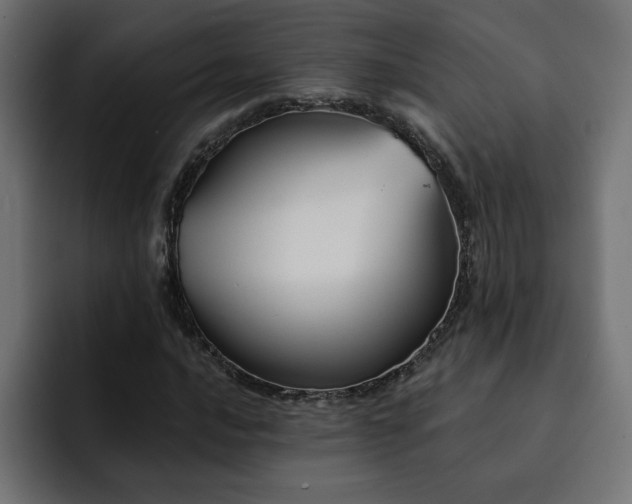 X0000093111016200710031312