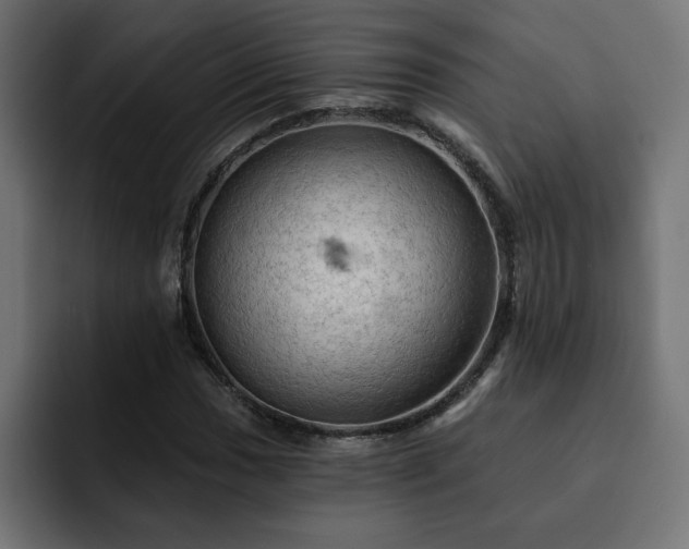 X0000093111017200710031312