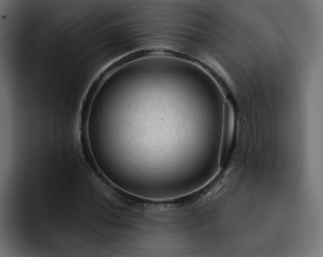 X0000093111020200710031312
