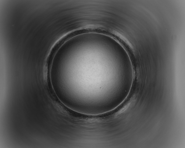 X0000093111021200710031312