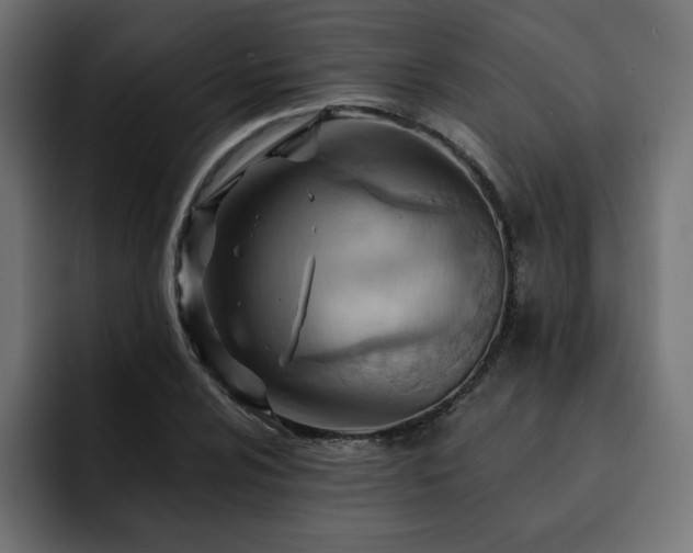 X0000093111024200710031312