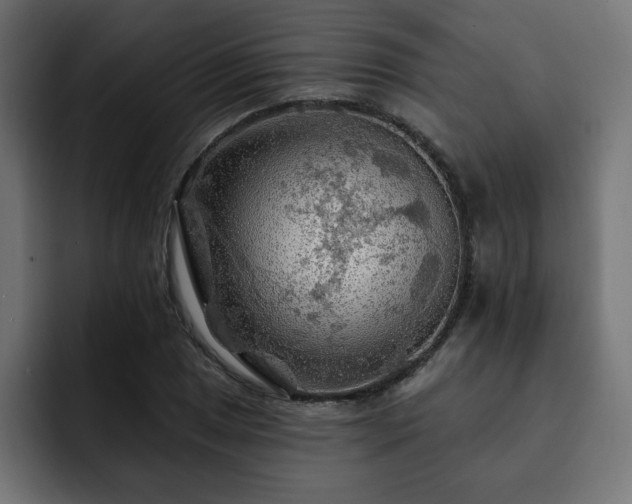 X0000093111025200710031312