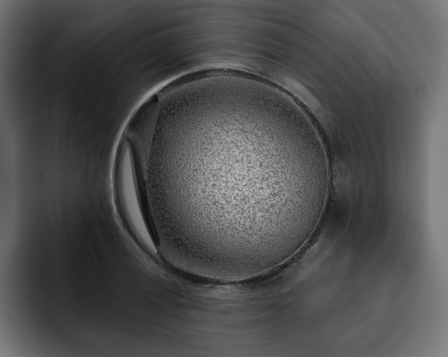 X0000093111028200710031312