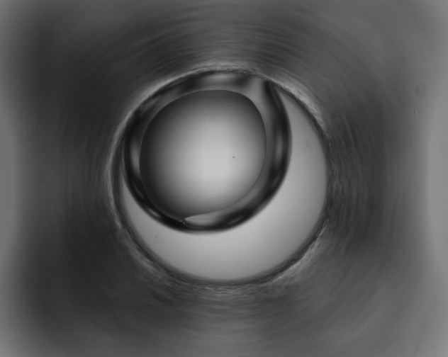 X0000093111030200710031312