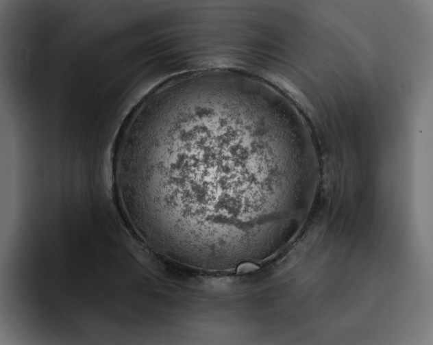 X0000093111031200710031312