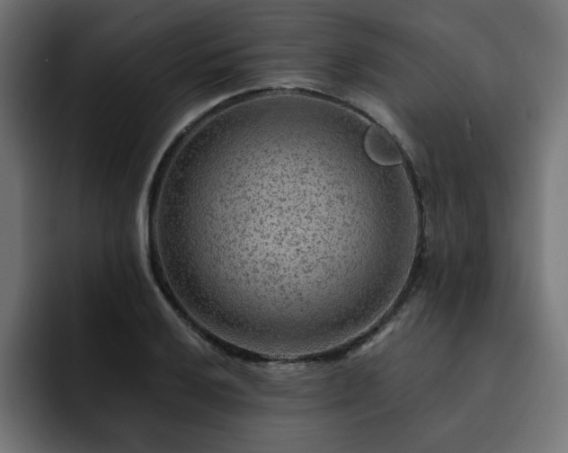 X0000093111032200710031312