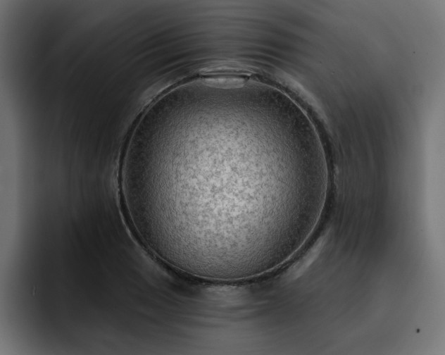 X0000093111033200710031312