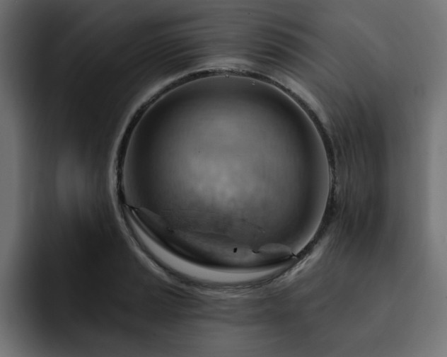 X0000093111037200710031312
