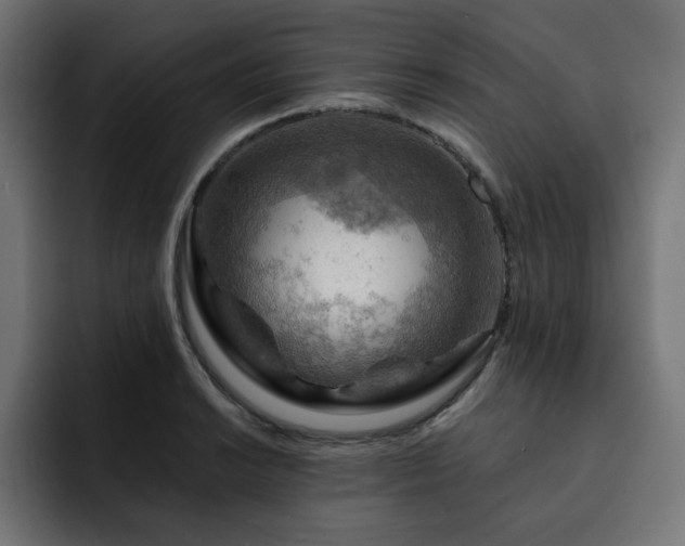 X0000093111038200710031312