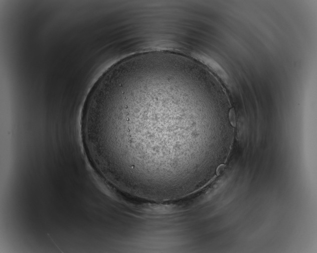 X0000093111039200710031312