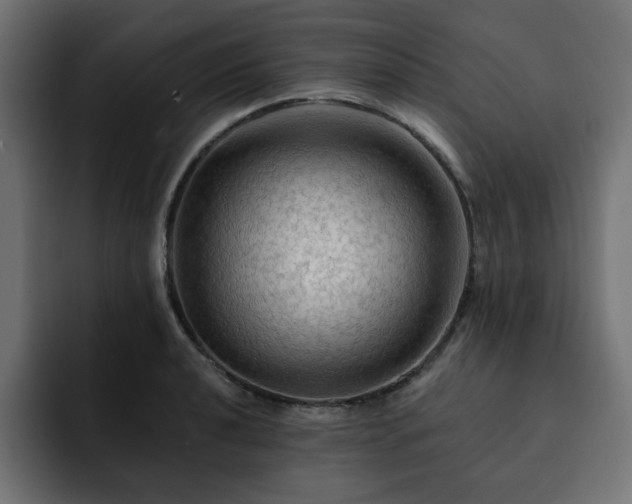 X0000093111040200710031312