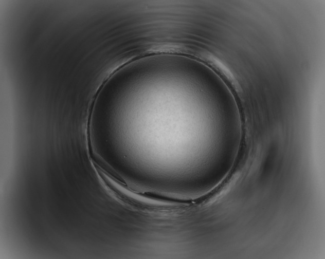 X0000093111041200710031312