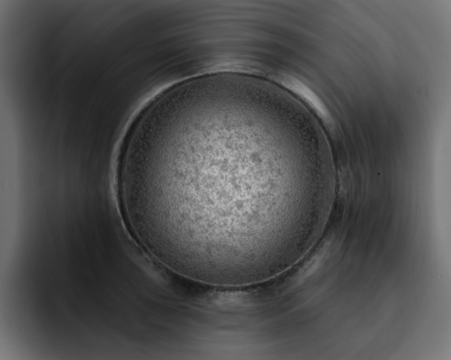 X0000093111043200710031312