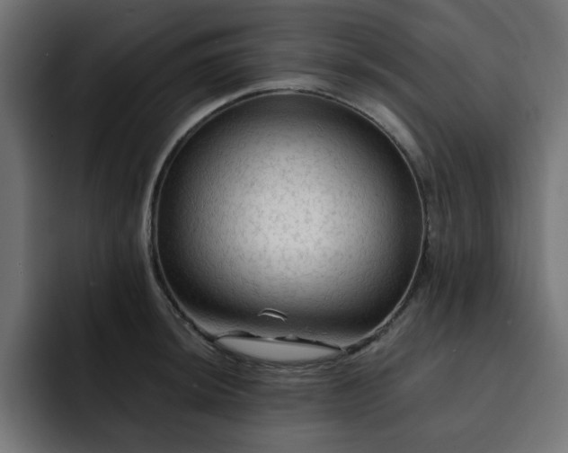X0000093111044200710031312