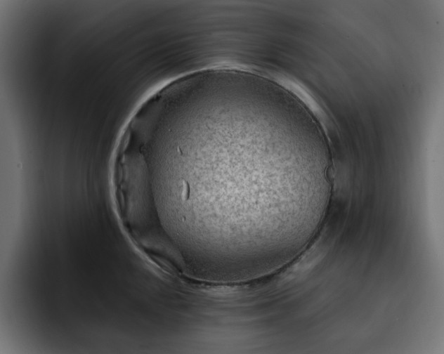 X0000093111048200710031312