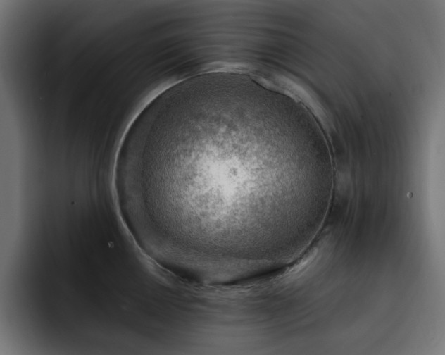 X0000093111050200710031312