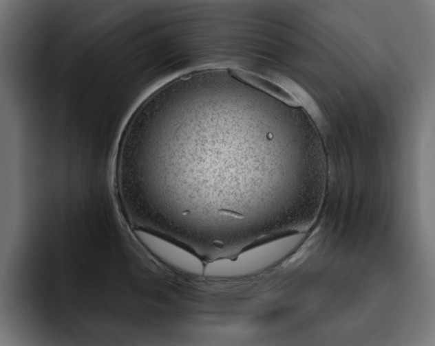 X0000093111052200710031312