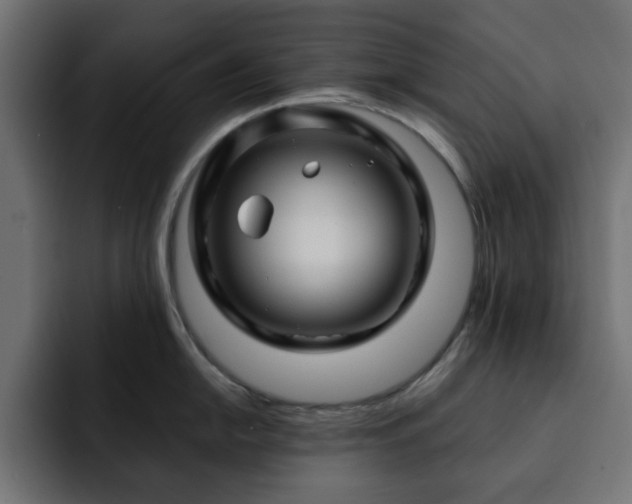 X0000093111054200710031312