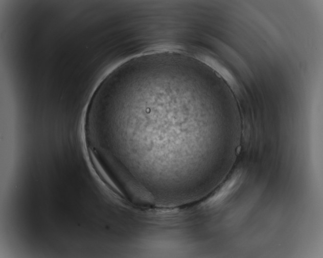 X0000093111055200710031312