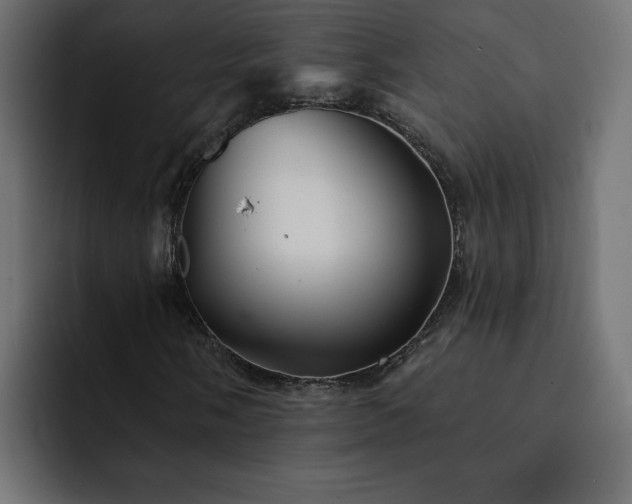 X0000093111058200710031312