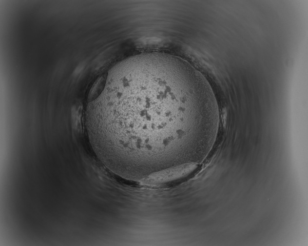 X0000093111059200710031312