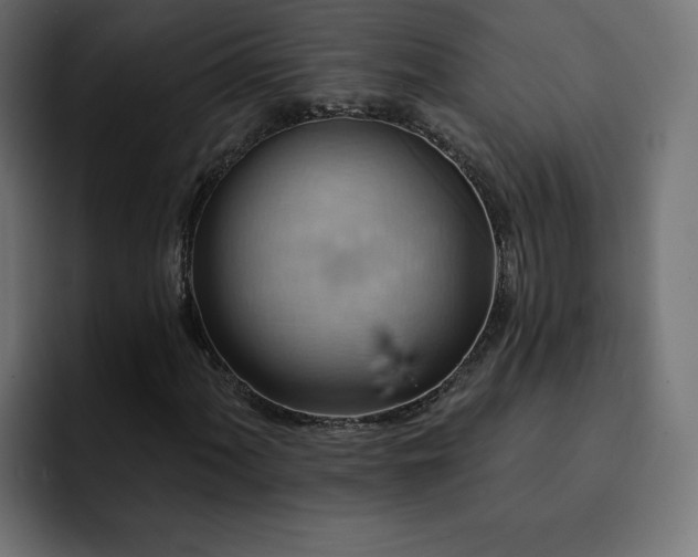 X0000093111060200710031312