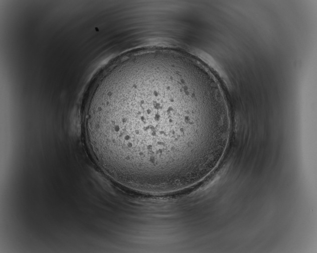 X0000093111067200710031312