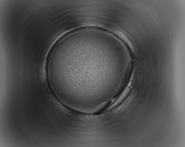 X0000093111068200710031312