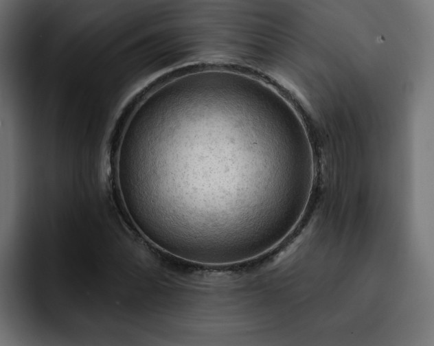 X0000093111070200710031312