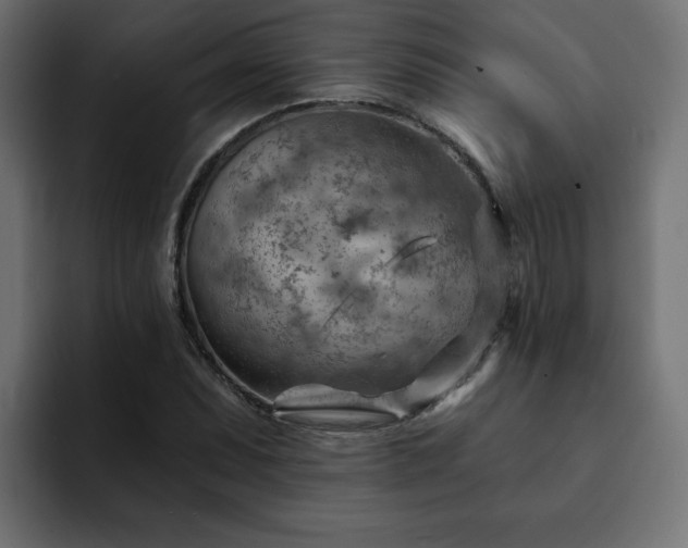 X0000093111071200710031312
