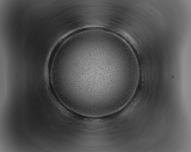 X0000093111072200710031312