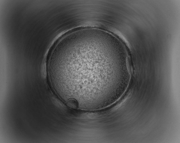 X0000093111075200710031312