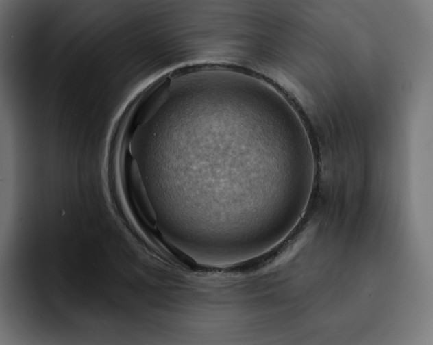 X0000093111077200710031312