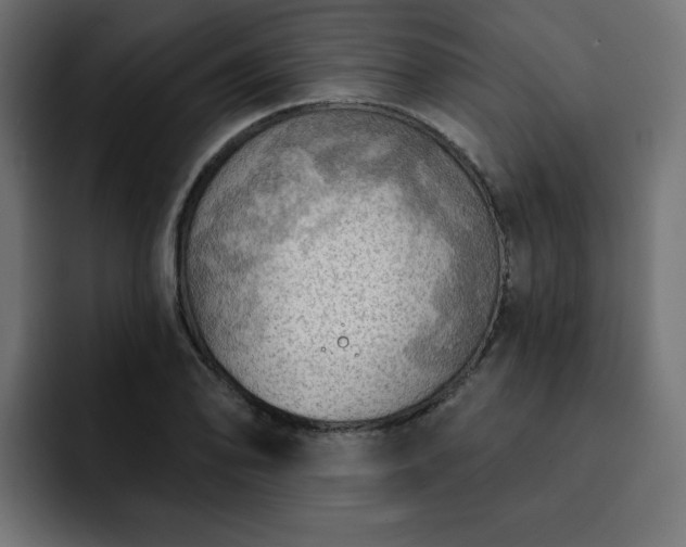 X0000093111078200710031312