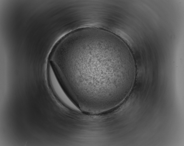 X0000093111079200710031312