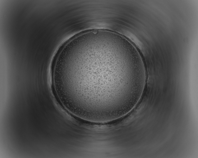 X0000093111080200710031312
